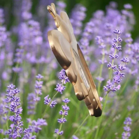 Gold 6" Bumble Bee Shaped Picture Frame - Picture 4 of 8